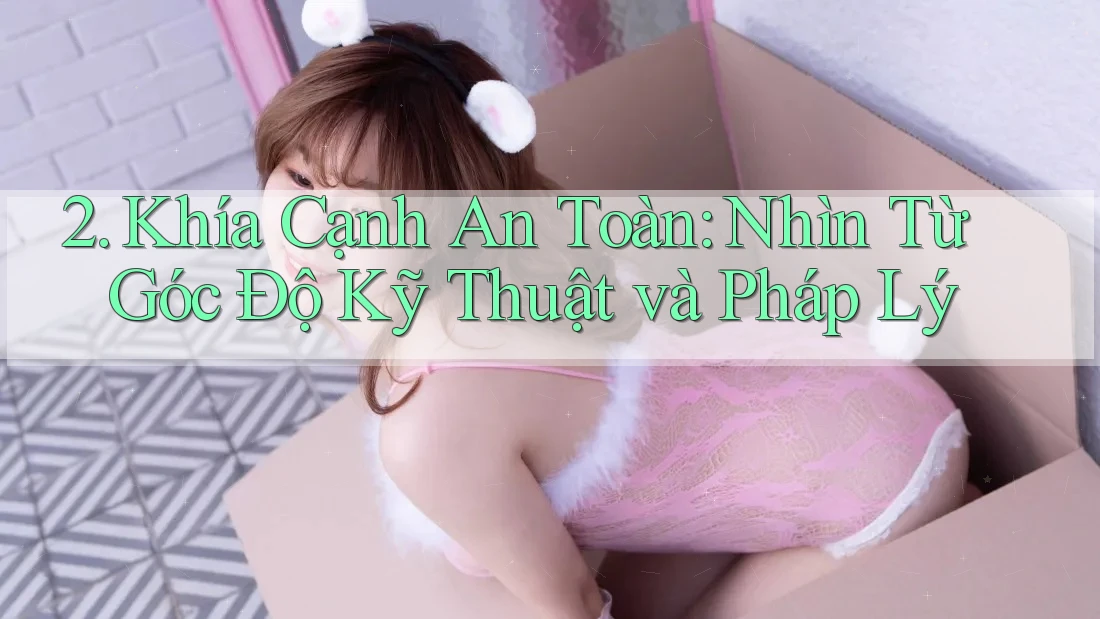 2. Khía Cạnh An Toàn: Nhìn Từ Góc Độ Kỹ Thuật và Pháp Lý