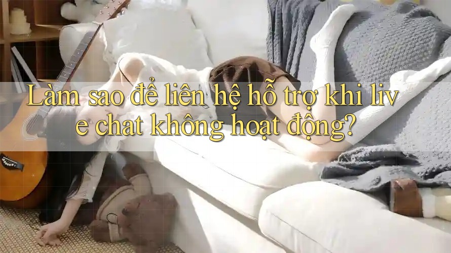Làm sao để liên hệ hỗ trợ khi live chat không hoạt động?