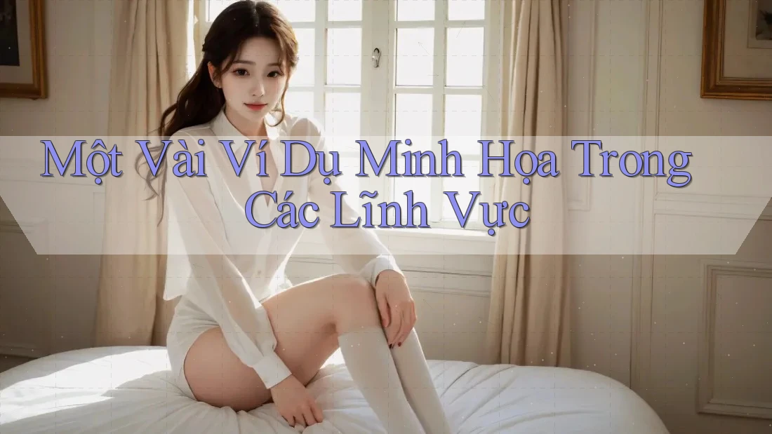 Một Vài Ví Dụ Minh Họa Trong Các Lĩnh Vực Một Vài Ví Dụ Minh Họa Trong Các Lĩnh Vực