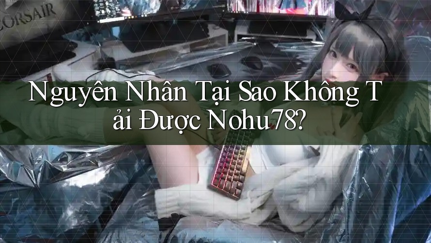 Nguyên Nhân Tại Sao Không Tải Được Nohu78?