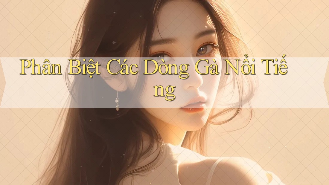 Phân Biệt Các Dòng Gà Nổi Tiếng Phân Biệt Các Dòng Gà Nổi Tiếng