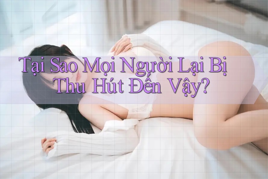 Tại Sao Mọi Người Lại Bị Thu Hút Đến Vậy? Tại Sao Mọi Người Lại Bị Thu Hút Đến Vậy?