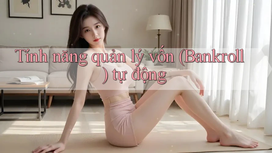 Tính năng quản lý vốn (Bankroll) tự động